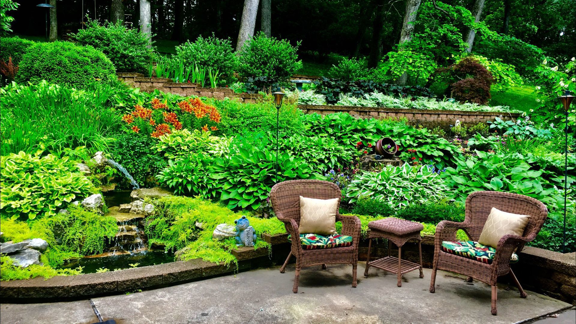 Backyard Bliss